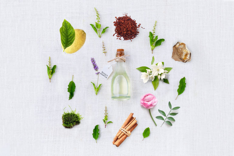 Classificare e conoscere le famiglie olfattive per non sbagliare nella scelta del profumo