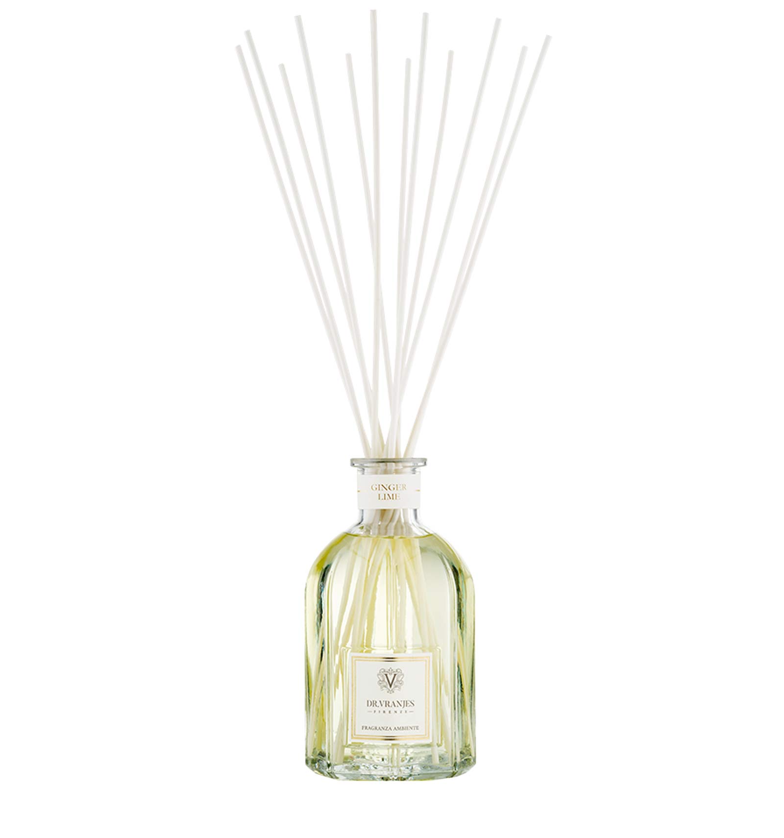 fragranza d'ambiente ginger lime Variante-FRV0014F-5L