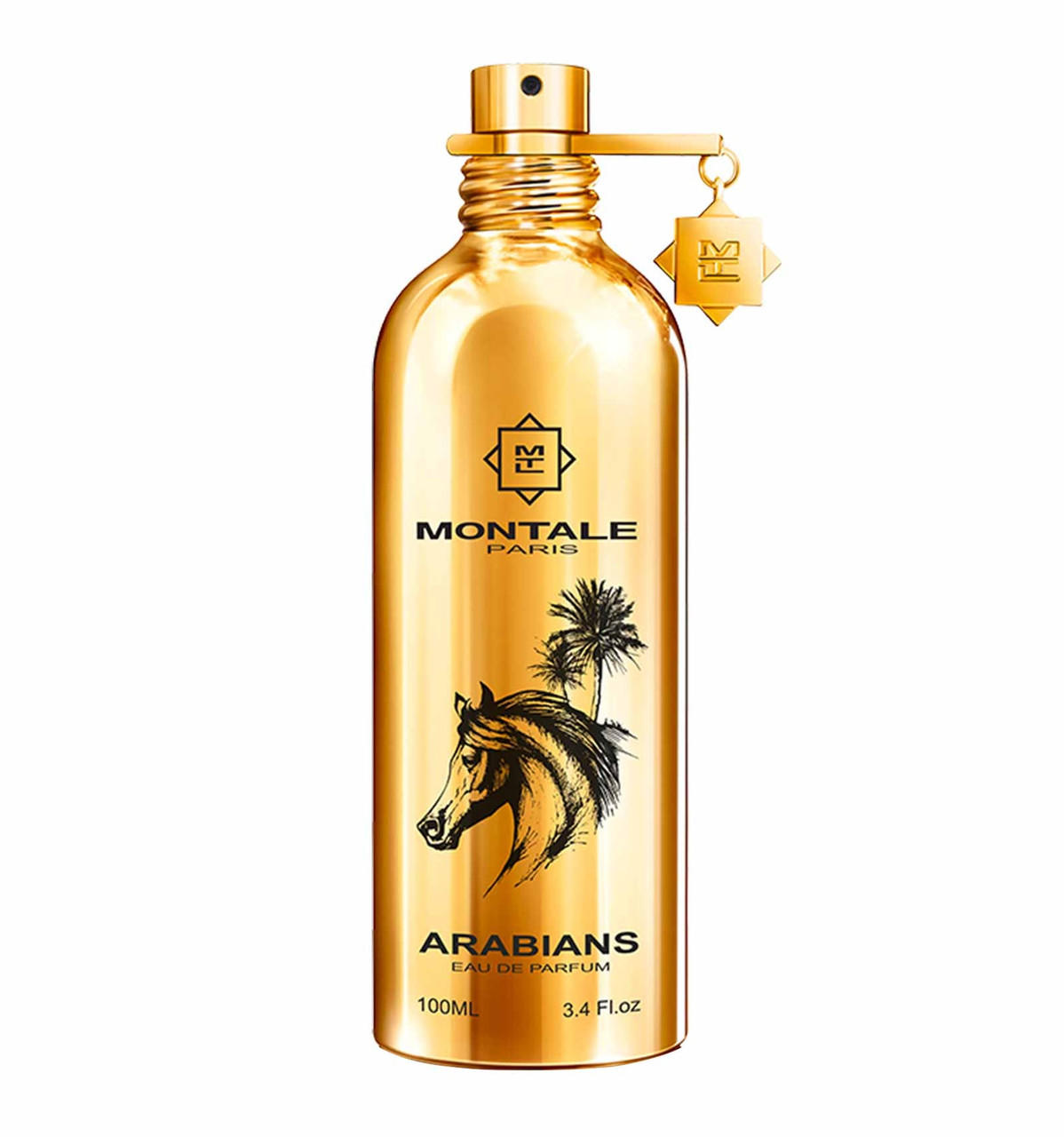 Montale Paris ARABIANS Eau De Parfum 100 ML